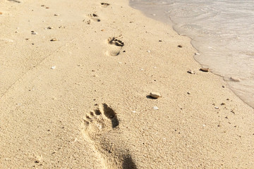 Footprints on the sandy tropical beach. travel background natural picture. Vacation time