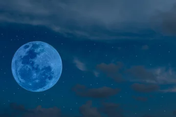 Fotobehang Volle maan en bomen Blauwe volle maan aan de hemel.