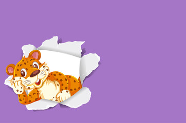 Background template design with wild tiger on purple papaer