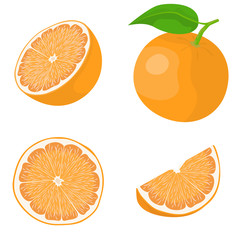 Whole and sliced orange. Vector set in cartoon style isolated on white background.