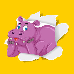 Background template design with wild hippo
