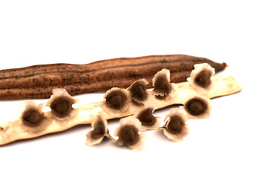 Moringa oleifera - Organic Moringa Seeds