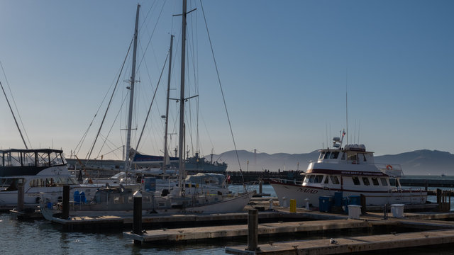 marina of sans francisco with boats