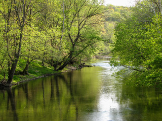 Fototapeta na wymiar River in the Woods, Reflections