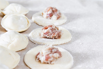 The process of making homemade dumplings. Minced meat on the dough, the process of making homemade dumplings.