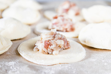 The process of making homemade dumplings. Minced meat on the dough, the process of making homemade dumplings.