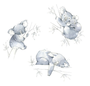 Set of koalas monochrome watercolor sketches, hand painted