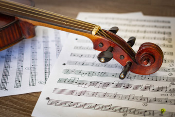 beautiful violin on a background of the old notes. musical instruments. stringed instruments