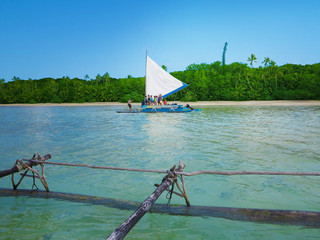 Typical kanak boat at the Upi Bay in New Caledonia.       