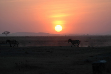 Fototapeta na wymiar tramonto africano