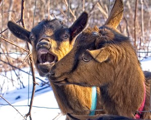 Stop the media, stop the madness!