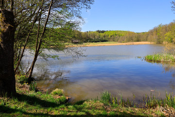 Neumühlsee near the City of Waldenburg in Hohenlohe, Germany