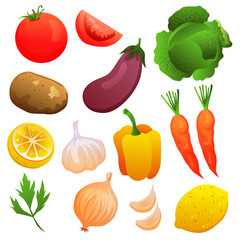 vegetable set collection element object