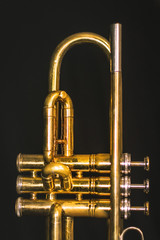 Fototapeta na wymiar trompeta
