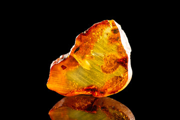 A wonderful piece of Baltic amber with an unusual prehistoric creature inside it. Isolated with a...