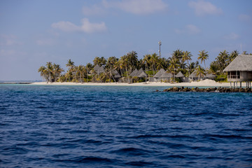 Summer exotic sandy beach island with palms and sea on background