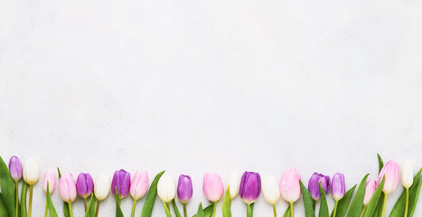 Border of pink and white tulips on light background. Mothers day, Valentines Day, Birthday celebration concept. Copy space, top view