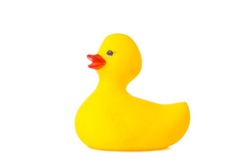 Yellow rubber duck isolated on white background