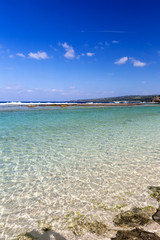 瀬田海海浜公園（せたうみかいひんこうえん）