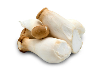 Fototapeta premium fresh mushroom on white isolated background
