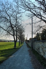 road in the park