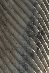 Ephesus ancient city. Selcuk, Izmir / Turkey.