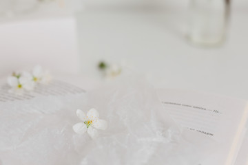 spring cherry blossoms on a white table with a book