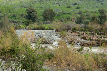 River seeks its way:  In its upper section, the Jordan River seeks its way between rocks, rubble, vegetation, and piled-up drift of all kinds.