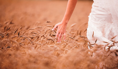 The bride in the field.