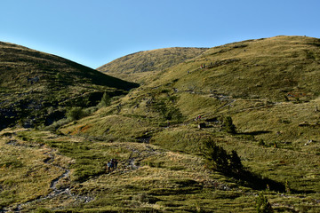 Altai mountain