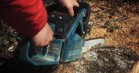 Wood cutting a chainsaw. Lumberjack cuts firewood with a saw