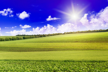 Dawn over the spring field