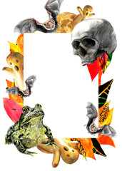 Template watercolor Halloween with skull, frog, ghost, bat