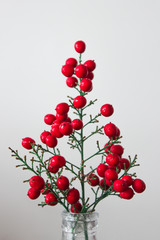 Christmas branch with red berries on a white background