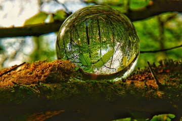 Lens Ball in the woods