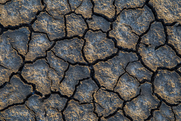 Aridity ,Cracked earth, cracked soil. texture of grungy dry cracking parched earth. Global worming effect.
