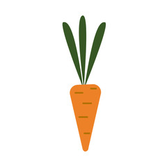 Bright vector carrot icon with leaves. Fresh cartoon vegetable isolated on a white background. Cartoon style. Illustration used for magazine, book, poster, card, cover menu, web page.