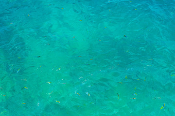 Surface blue sea water. Texture of water with small waves