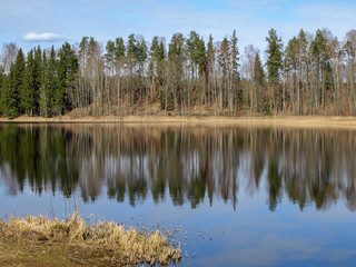 early spring landscape, forest in the background, lake in the foreground