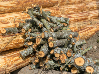photo with peeled wooden logs, saw log texture