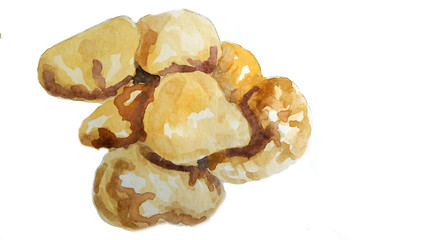 Ohre isolated watercolor good potatoes
