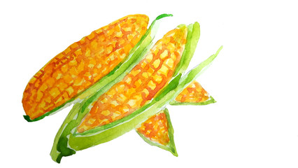 Sweet isolated yellow watercolor corn  