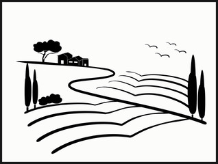 vineyard vector illustration rural landscape