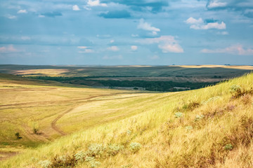 Obraz premium Summer or autumn yellow hills with dry grass. landscape and nature of Ukraine.