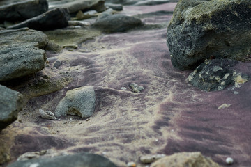 Fototapeta premium red and black sand