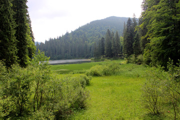 Fototapeta na wymiar Beautiful lake in the coniferous forest.