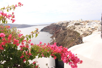 flowers on the beach