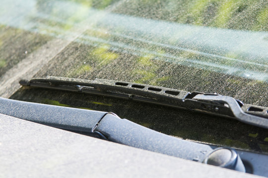 Scheibenwischer und Frontscheibe mit Pollen