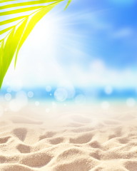 Summer sand beach background. Palm leaf, sea and sky. Summer concept.