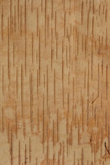 Obraz premium Internal brown striped structure of a birchen bark background, copy space